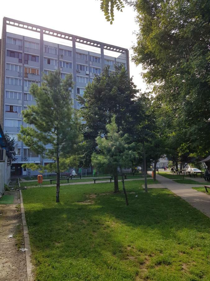 Studio Central Piatra Neamţ Zewnętrze zdjęcie
